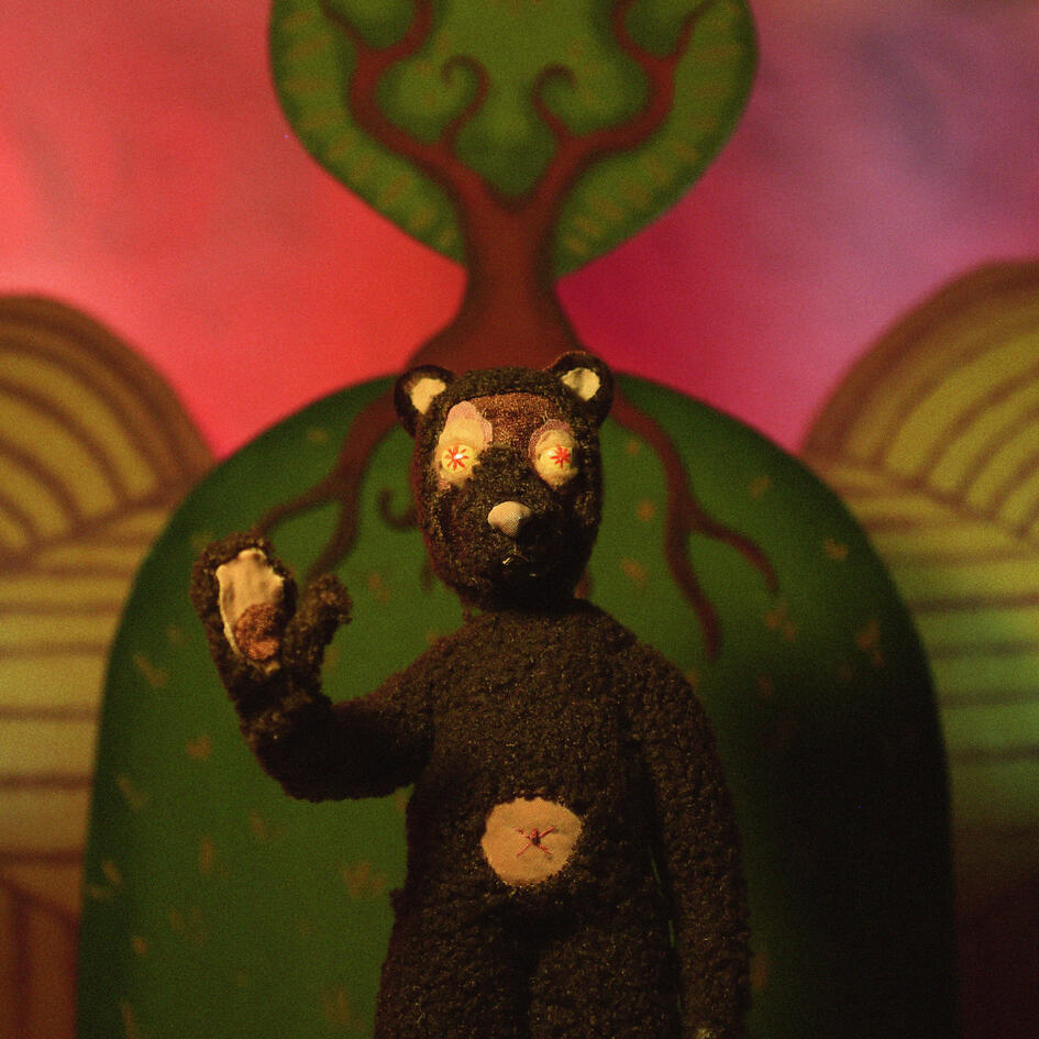 I See The Bear